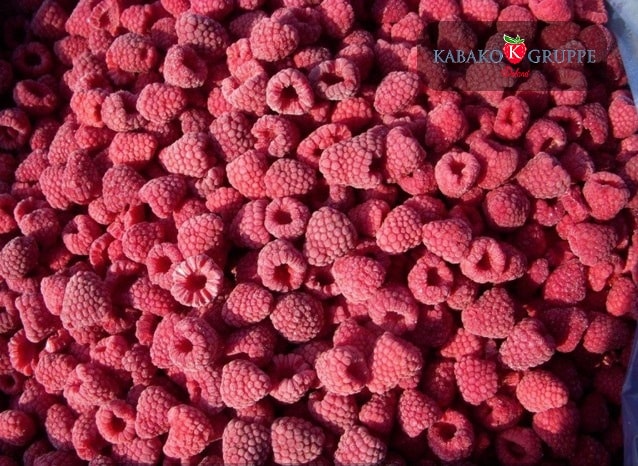 Frozen (IQF) Raspberries 13